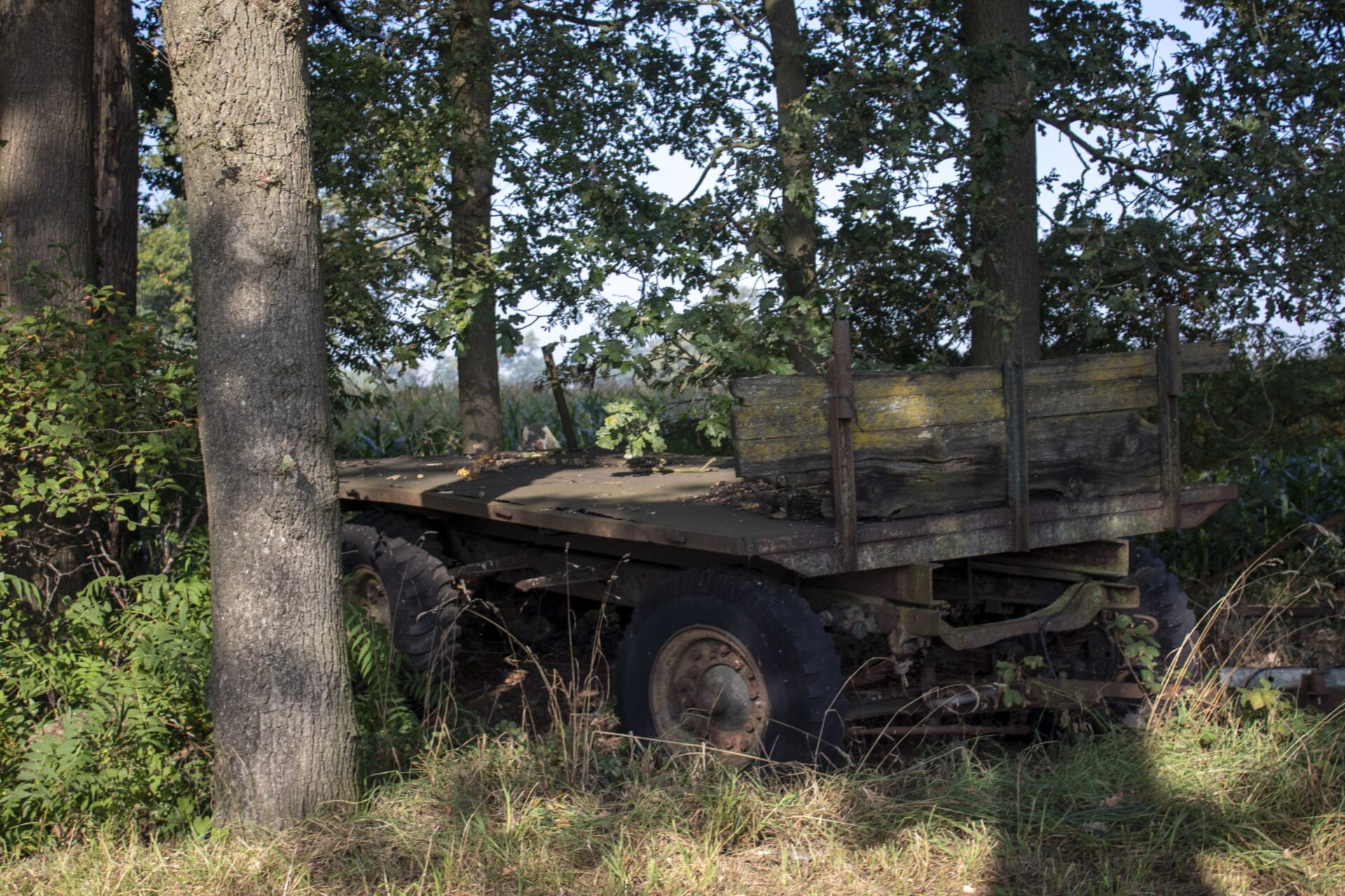 Bed and breakfast in Aalten