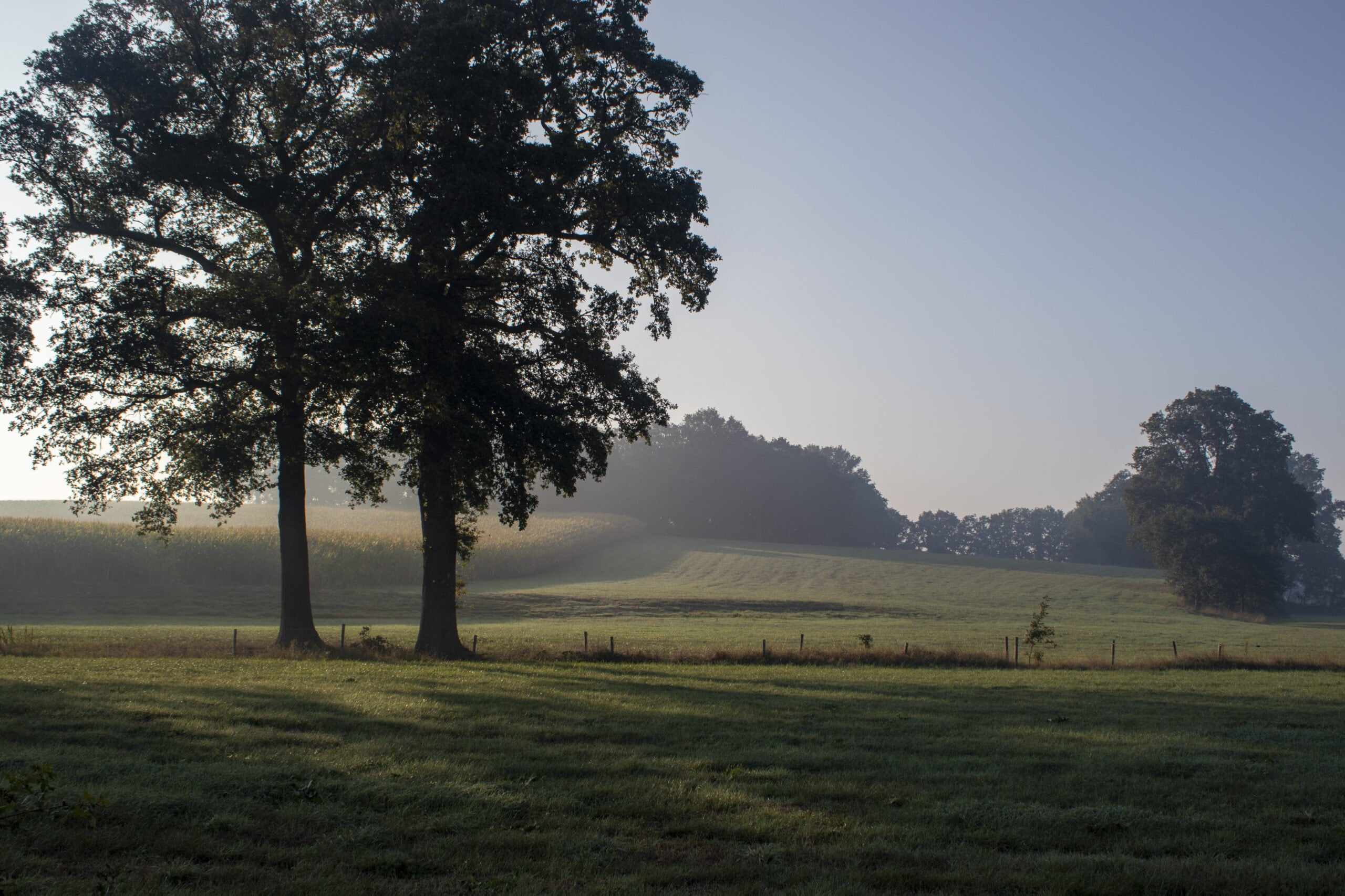 Boerderij camping in Duitsland