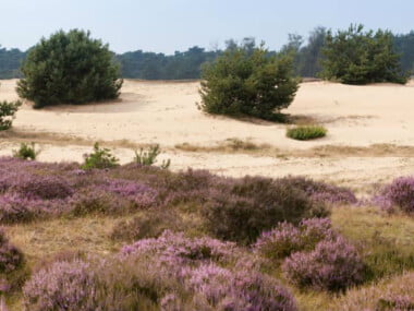 Hoeve-Meijer-9