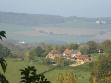 Paradijsvogels-Hoeve-ten-Bosch-4