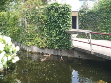 Pension-Ammerstol-9