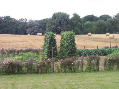 Vakantieboerderij-de-Holdeurn-5