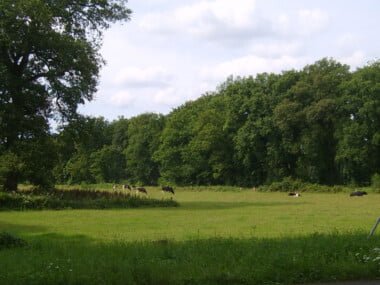 Vakantiehuis-Ras-3
