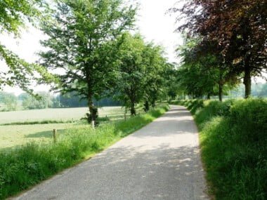 Vakantiewoningen-t-Ysvogeltje-7