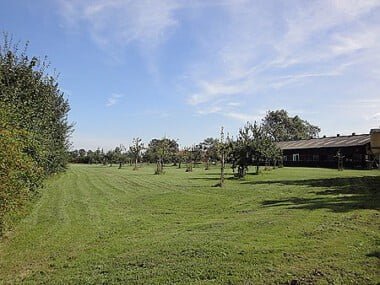 Camping - Mini Camping De Vijver