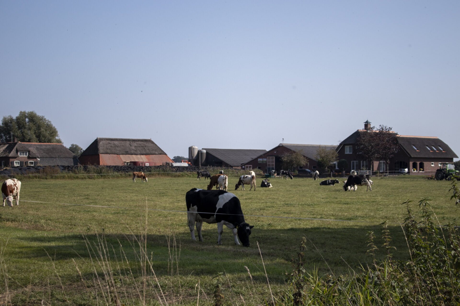 Vakantie boerderij Drenthe