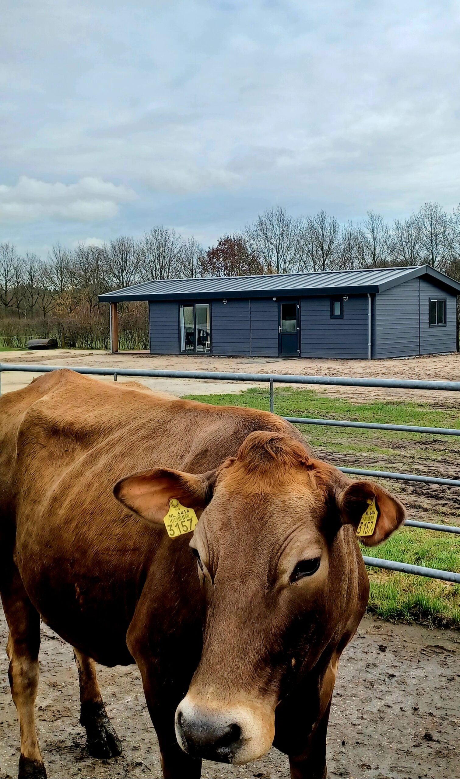 Vakantie op een boerderij met dieren