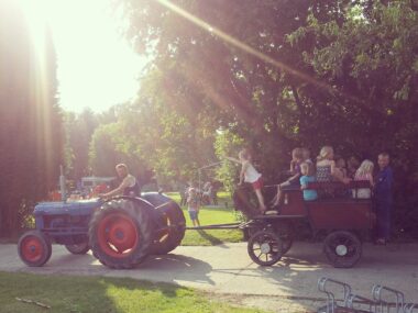 Boerderijcamping Melkveehouderij Woutrinahoeve op de koets rondrijden 